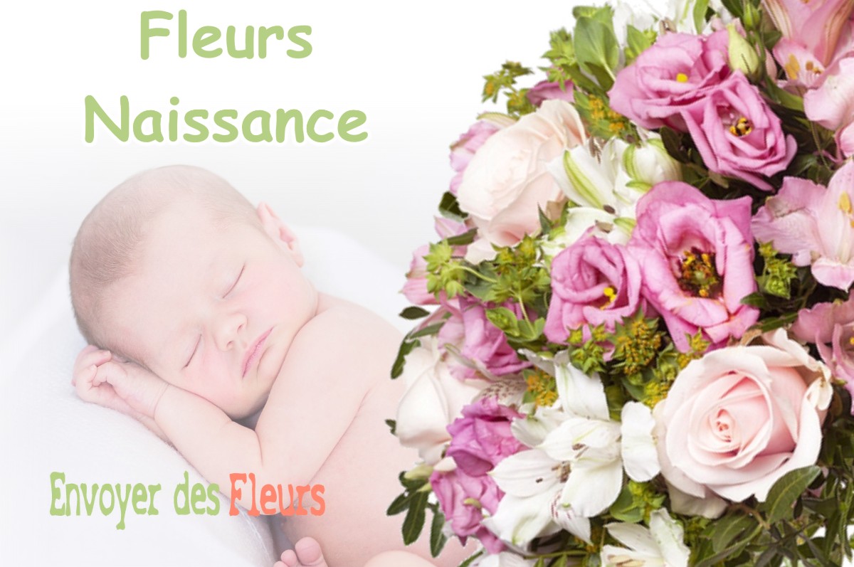 lIVRAISON FLEURS NAISSANCE à BRAS-SUR-MEUSE